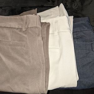 Bundle 3 pack Express Columnist boot cut pants